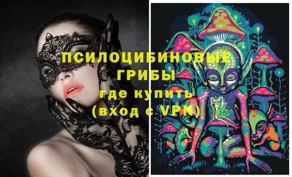 трава Горнозаводск